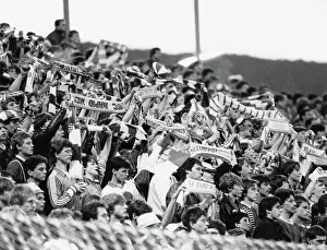 Penalties: Cheering rapid fans at the soccer cup final match
