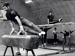 Accustomed: Cheerleading - Gymnastics