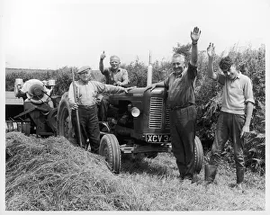 Farmworkers: CHEERY FARMWORKERS