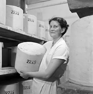 Maturing: Cheese Making