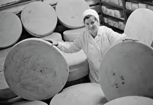 Cheese: Cheese-making plant in Biysk