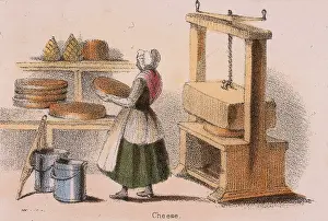 Removing: Cheese making: removing a cheese from the press