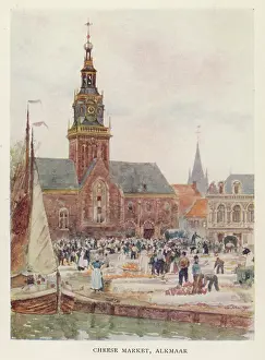 Alkmaar: CHEESE MARKET/ALKMAAR