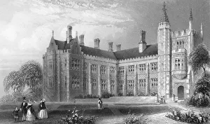 Consumption: Chelsea Consumption Hospital