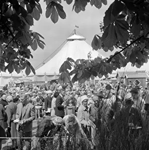 Overhanging: Chelsea Flower Show 1960