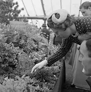 Hillier: Chelsea Flower Show