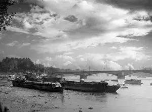 Foreshore: CHELSEA FORESHORE