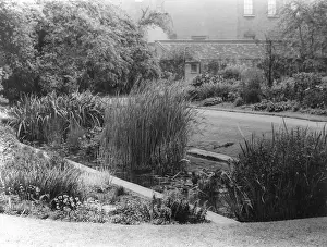 Physic: CHELSEA PHYSIC GARDENS