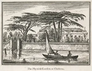Physick: CHELSEA PHYSICK GARDEN