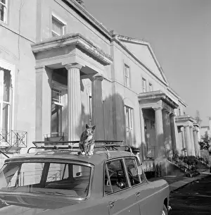 Pediments: Cheltenham