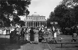 Cakes: Cheltenham Dog Show