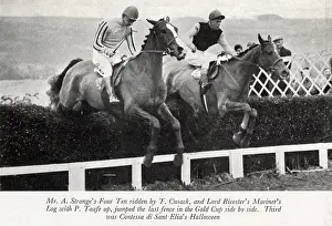 Mariners: Cheltenham Gold Cup, Four Ten and Mariner's Log