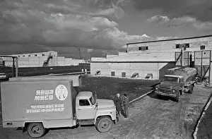 Poultry: Chelyabinsk Poultry Farm