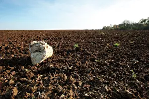 Chunk: Chemin des Dames