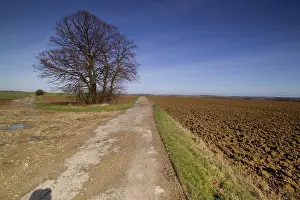 Dames: Chemin des Dames