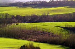 Dames: Chemin des Dames - View from Cavernes des Dragons southwards