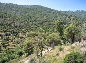 Remembrance: Chemin Walter Benjamin, Catalonia, Spain
