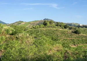 Remembrance: Chemin Walter Benjamin, Pyrenees-Orientales, France