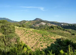 Remembrance: Chemin Walter Benjamin, Pyrenees-Orientales, France