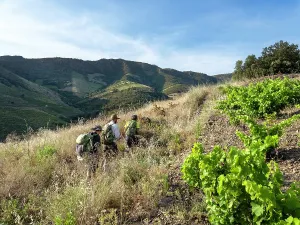 Remembrance: Chemin Walter Benjamin, Pyrenees-Orientales, France