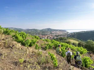Remembrance: Chemin Walter Benjamin, Pyrenees-Orientales, France