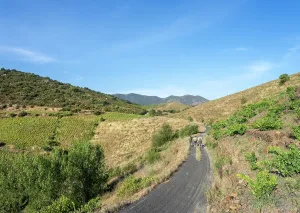 Remembrance: Chemin Walter Benjamin, Pyrenees-Orientales, France