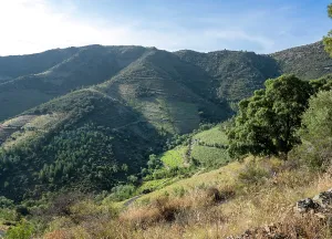 Remembrance: Chemin Walter Benjamin, Pyrenees-Orientales, France
