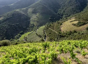 Remembrance: Chemin Walter Benjamin, Pyrenees-Orientales, France