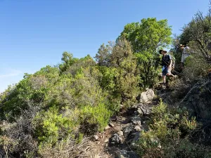Remembrance: Chemin Walter Benjamin, Pyrenees-Orientales, France