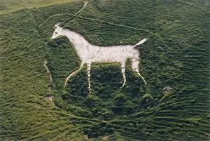 Lucy Pringle: CHERHILL WHITE HORSE