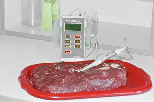 Miklyayev: Cherkizovsky Meat Processing Plant