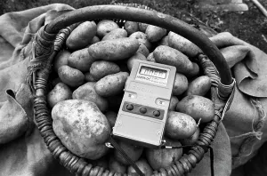 Potatoes: Chernobyl Disaster, 1991