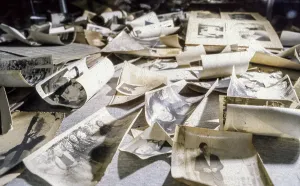 Leaks: Chernobyl fallout - 1995