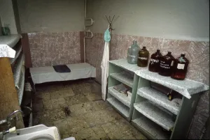 Fallout: Chernobyl fallout - 1995