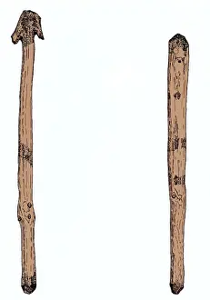 Cherokee: Cherokee War Clubs, 20th C