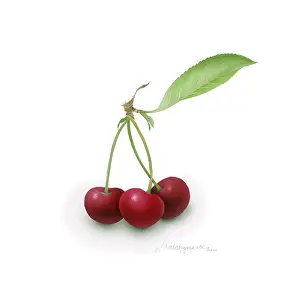 Makroushenka: Cherries