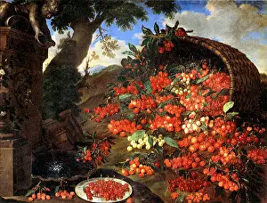 1699: Cherries