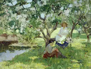 Hanna: Under the Cherry Blossom