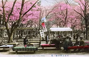 Ueno: Cherry Blossom and refreshments in Ueno Park, Tokyo, Japan