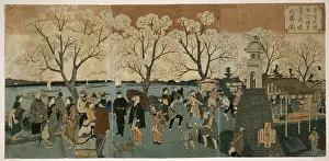 Sumida: Cherry blossoms in full bloom along Sumida River