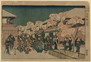 Yoshiwara: Cherry blossoms of Yoshiwara
