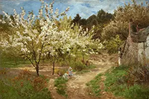 Orchard: The Cherry Orchard