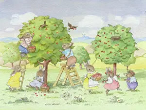 Pickers: The Cherry Pickers ' rabbits, hedgehog etc