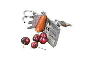 Stoned: Cherry Stoner and Peeler