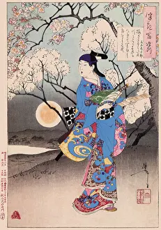 Blossoming: Cherry Trees Blossom