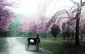 Ueno: Cherry trees at Ueno, Tokyo, Japan, hand coloured photo