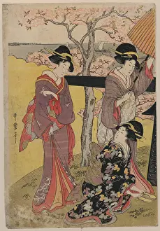 Zori: Cherry-viewing at Gotenyama