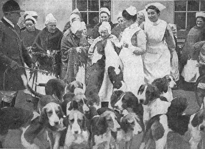 Beagles: Chertsey Workhouse - Hunt