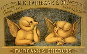 1515: Cherub Pigs