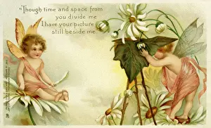 Cherubic: Cherubic fairies